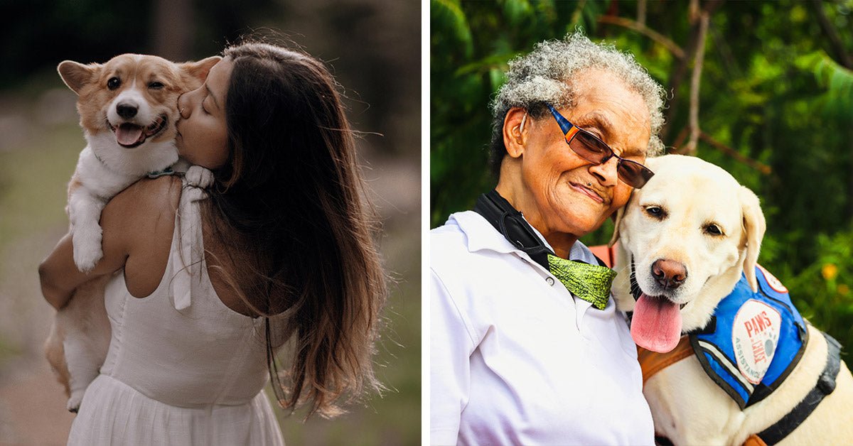 How loving a dog can wake your soul and save your health
