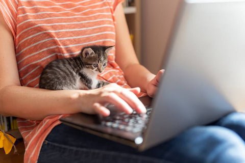 Woman working on the computer with cat