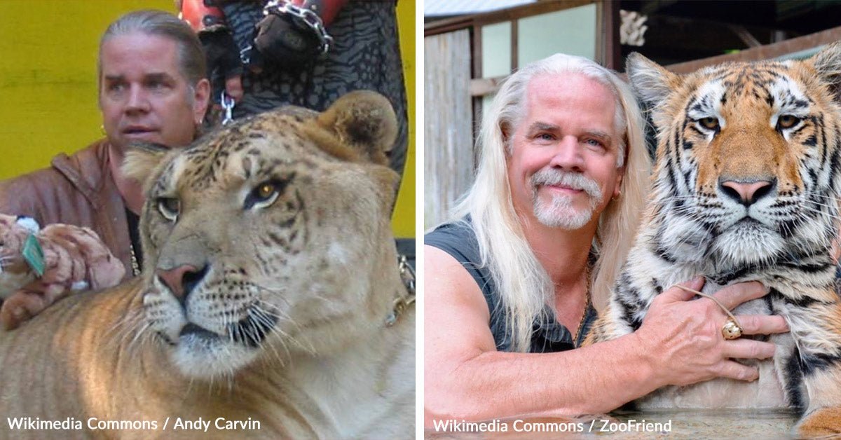 DOC Antle falls from Safari King to Federal Catch